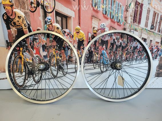 Paire de roue BMX 20P