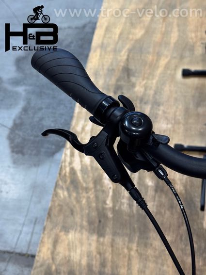 Giant DailyTour E+ 2 LDS Vélo électrique Shimano Deore 2023 - 5