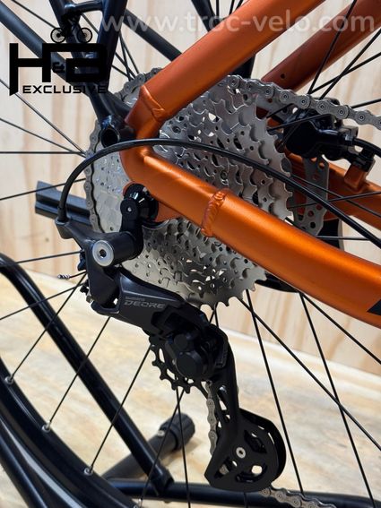 Giant DailyTour E+ 2 LDS Vélo électrique Shimano Deore 2023 - 14