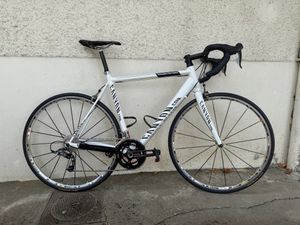 Ultimate Pro Series - 1