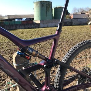 Orbea occam  - 1