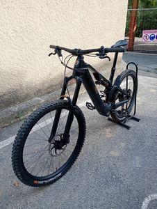 vttae rotwild RE 735 - 1