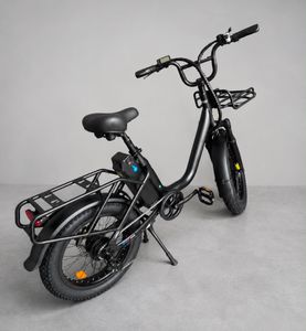 VÉLO ÉLECTRIQUE CARGO DS3 - 1