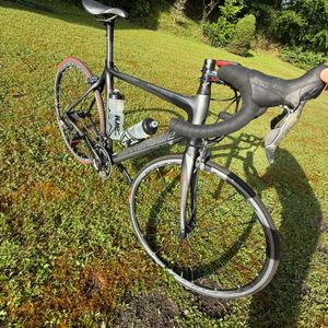 Cannonde synapse - 1