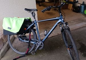 VelodeVille A700 BELT 8v Alfine - 1