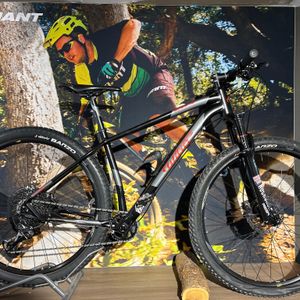 VTT Wilier 29 503x - 1