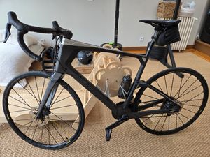 Sunn Finest 2019 Carbon - 1