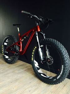 CARBON FAT BIKE - 1
