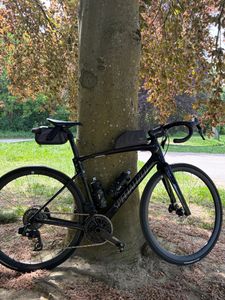 Specialized Roubaix SL8 - Upgradé SRAM Force AXS &... - 1