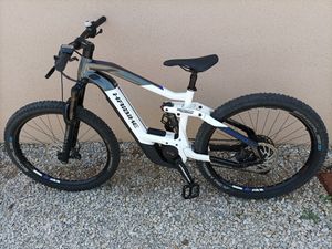 VTTae Haibike - 1