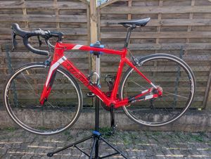 Wilier Triestina Gtr Team - 1