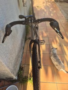 Monster Gravel Titane - ROBERT Frameworks RM1 - Ta... - 1