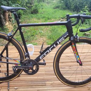 Focus IZALCO RACE 2017 - 1