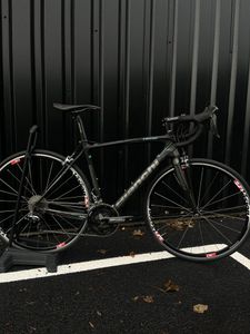 Bianchi Intenso - 1
