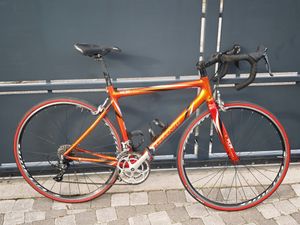 Giant TCR patins - 1