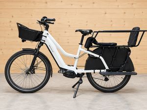 Riese & Müller Mixte GT Family - 1