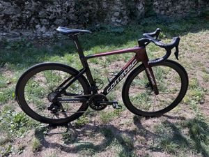 Corratec CCT EVO team replica 2024 - 1