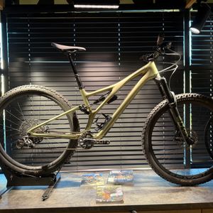 Specialized Stumpjumper Carbone Expert - 1