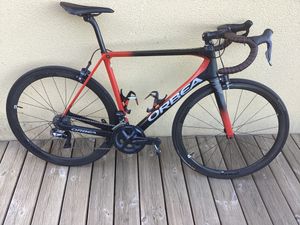 Orbea orca  - 1
