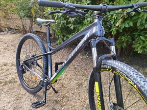 VTT Sunn série TOX  - 1