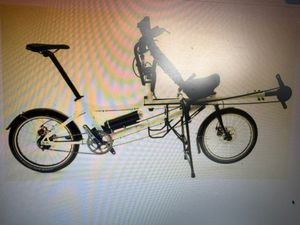 Vélo cargo Morpheus Rohloff  - 1