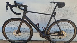 Orbea orca  - 1