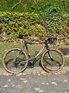 Felino Leopardo cyclo-cross - 1
