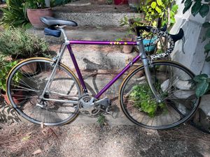 VITUS 992 Ovoid - 1