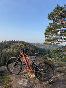 MONDRAKER CRAFTY RR - 1