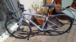 SPECIALIZED Diverge E5 Sport T54 - 1