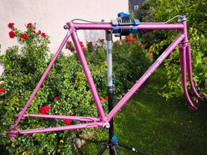 Cadre MERCIER rose, écusson gravé MERCIER, raccord... - 1
