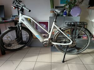 Stella Morena Premium MDBO 2024 – État Neuf – Sous... - 1