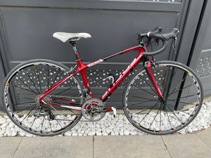 Focus izalco dona - 1