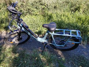 Vélo Nakamura électrique type cargo - 1