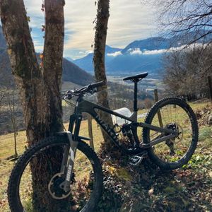 Marin Bike Alpine Trail C2 Carbon - 1