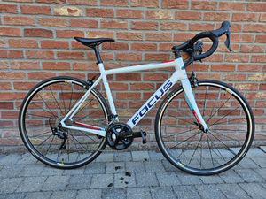 FOCUS IZALCO Race 2019 54 - 1