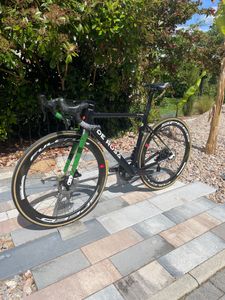 De rosa Merak  - 1