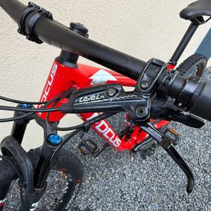 FOCUS O1E carbone - 1