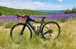Vélo route électrique WILLIER Cento1 Hybride Taill... - 1