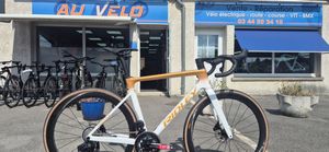 Ridley falcn rs  - 1