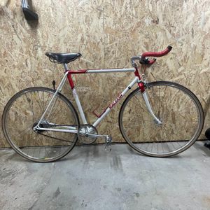 RALEIGH Occasion ou Neuf Large choix sur Troc Velo