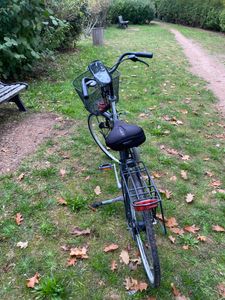 VTC BATAVUS Piazza made in holland - 1