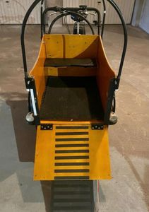 Triporteur cargo - 1