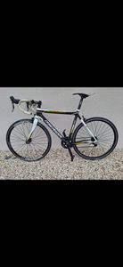 Merida Scultura Evo 904 Carbone – Shimano 105 – Ta... - 1