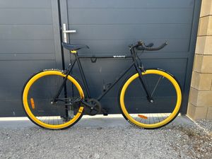 fixie Pure Fix India - 1