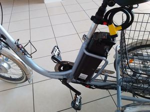 tricycle pendulaire - 1
