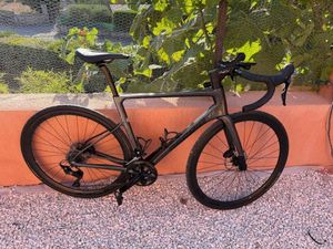 BELADOR ELITE 105 2024 - 1