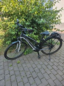 Pegasus Premio Evo 10 lite - 1