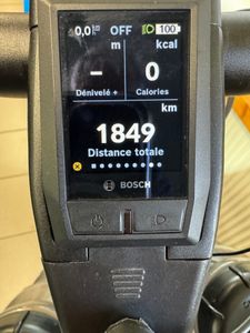 Pedelec Riese Muller Delite GX Rohloff taille 54 - 1