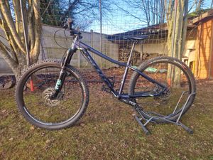 Scott scale 27.5 - 1